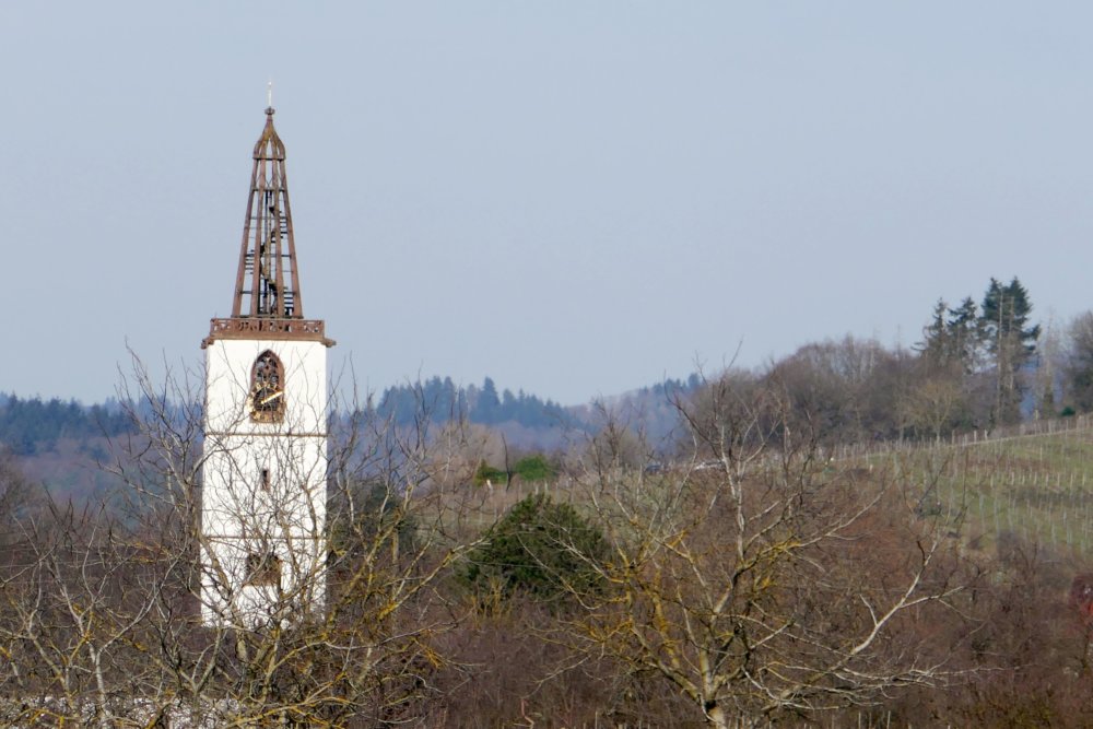 ../previews/029-Voerstetten-Tour-P1000037_ji_Final.jpg.medium.jpeg